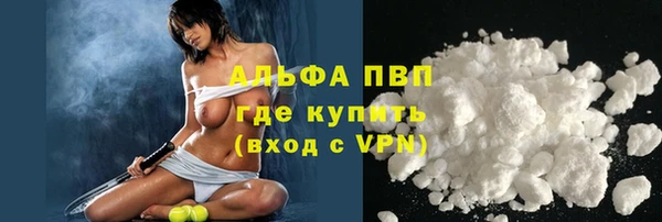 гидра Калининец
